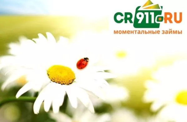 Личный кабинет Credit 911