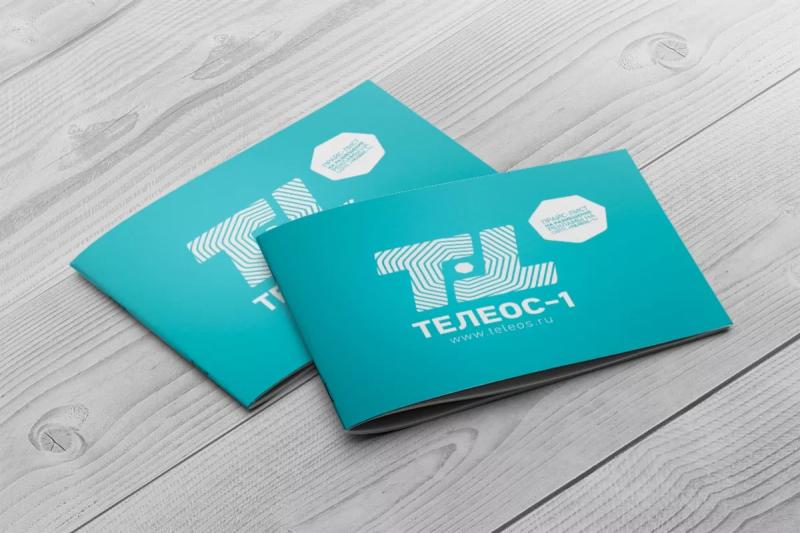 Личный кабинет Teleos