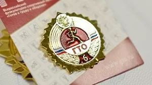 Личный кабинет ВФСК ГТО